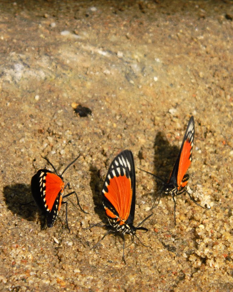 DSCN0033.JPG