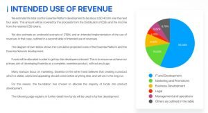 Essentia-Use-of-funds-300x163.jpg