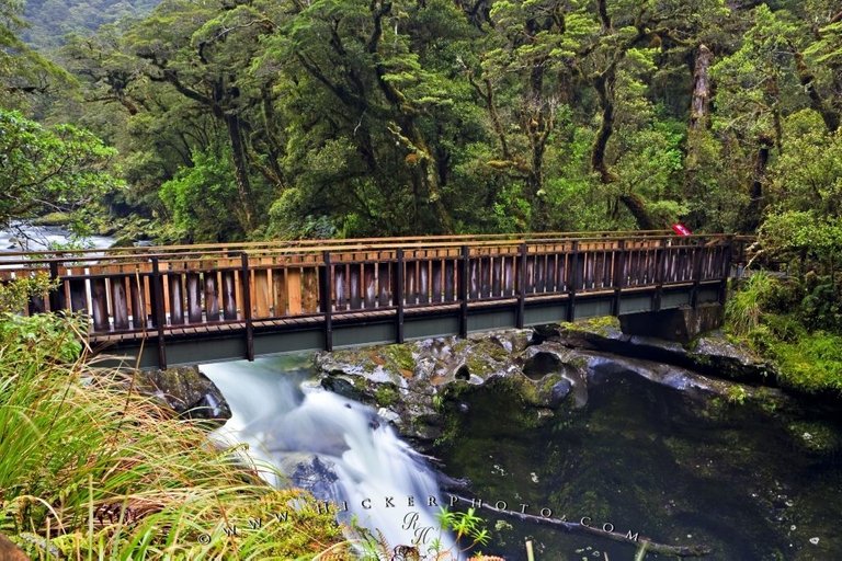 chasm-fiordland-nz_15987.jpg