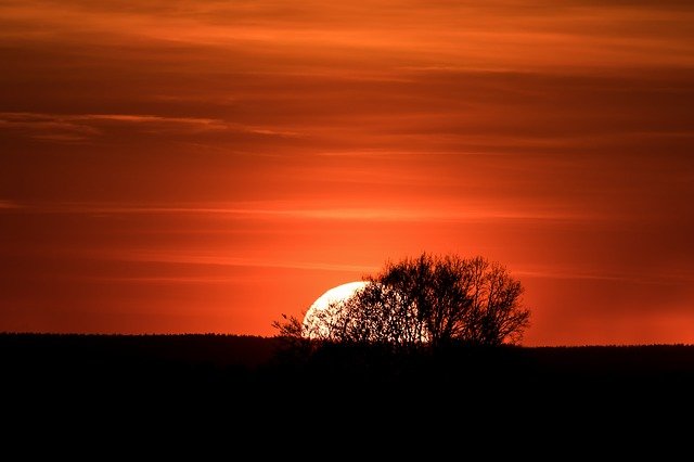 sun setting behind hill will tree silloquette.jpg