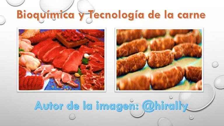 biotecnologia carne.jpg