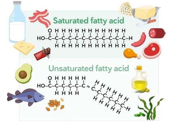 (Un)saturated fat.jpg