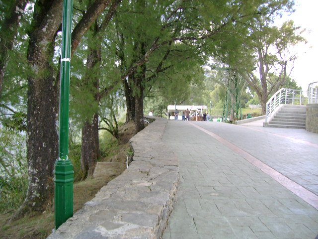 23-camino al humboldt.JPG