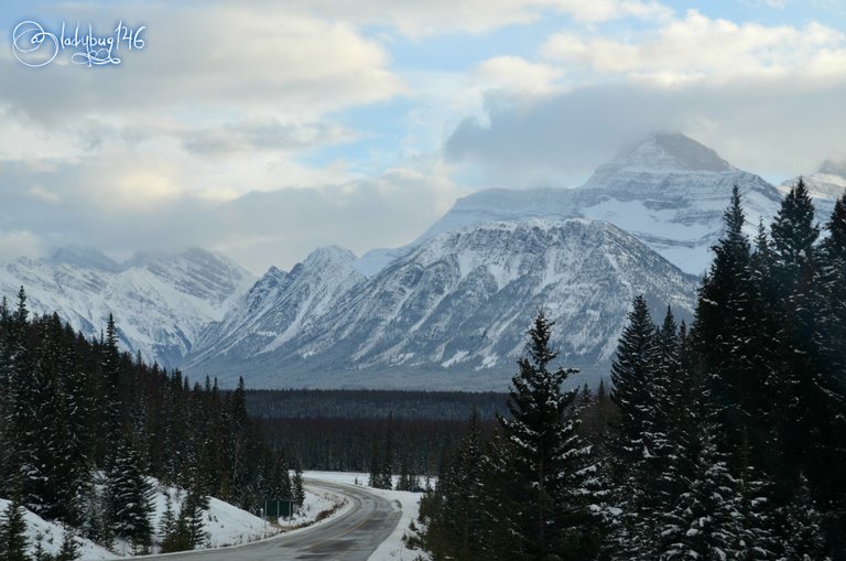 icefield parkway4.jpg