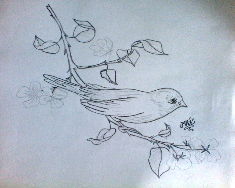 POESIA Y DIBUJO (1).jpg