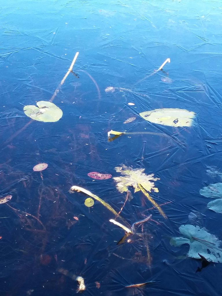 20181026_093429.jpg