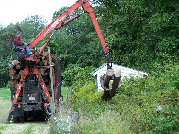 Log truck unloading crop September 2019.jpg