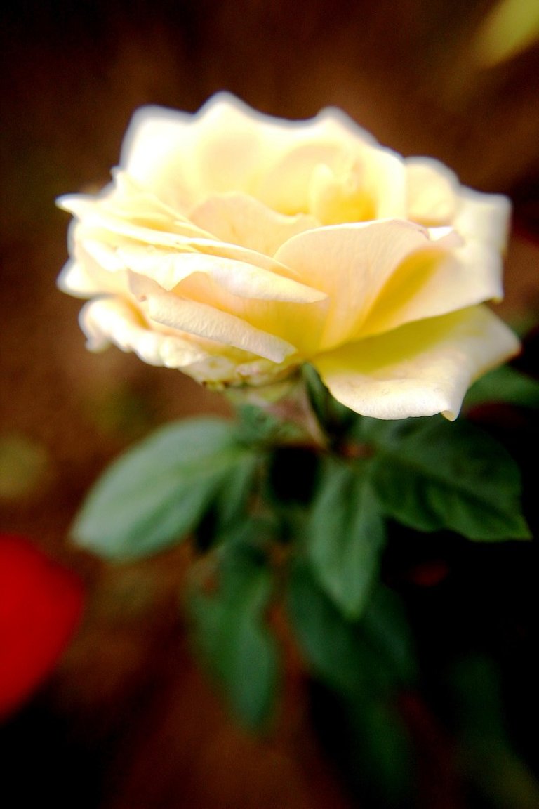 IMG_2687.JPG
