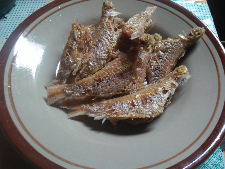 IMG20250423124943.jpg