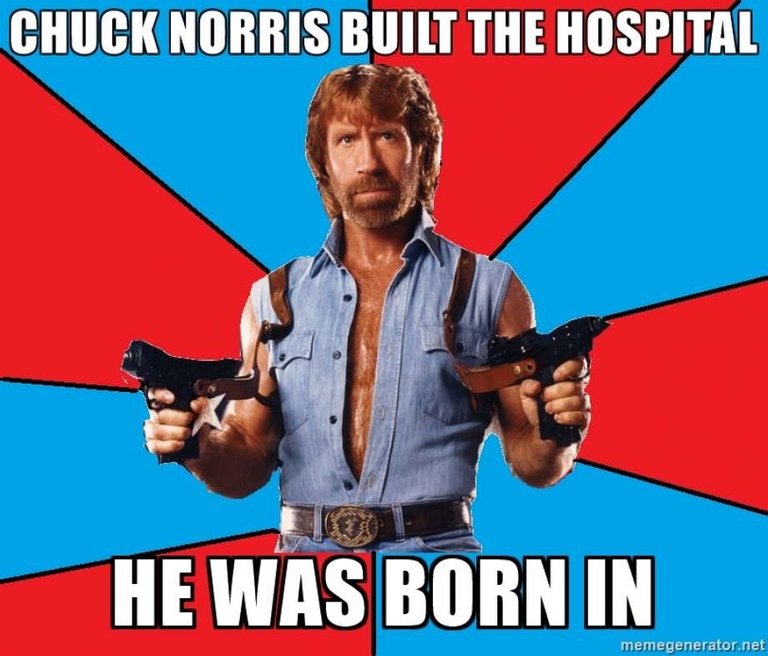 CHUCKNORRISmeme.jpg