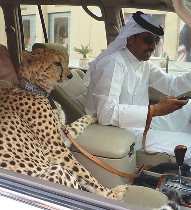 dubai_life_04.jpg