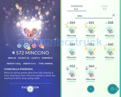 Minccino Pokédex and storage after event.jpg