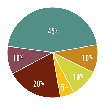 EOSAmericas_RevenuePieChart_400.png