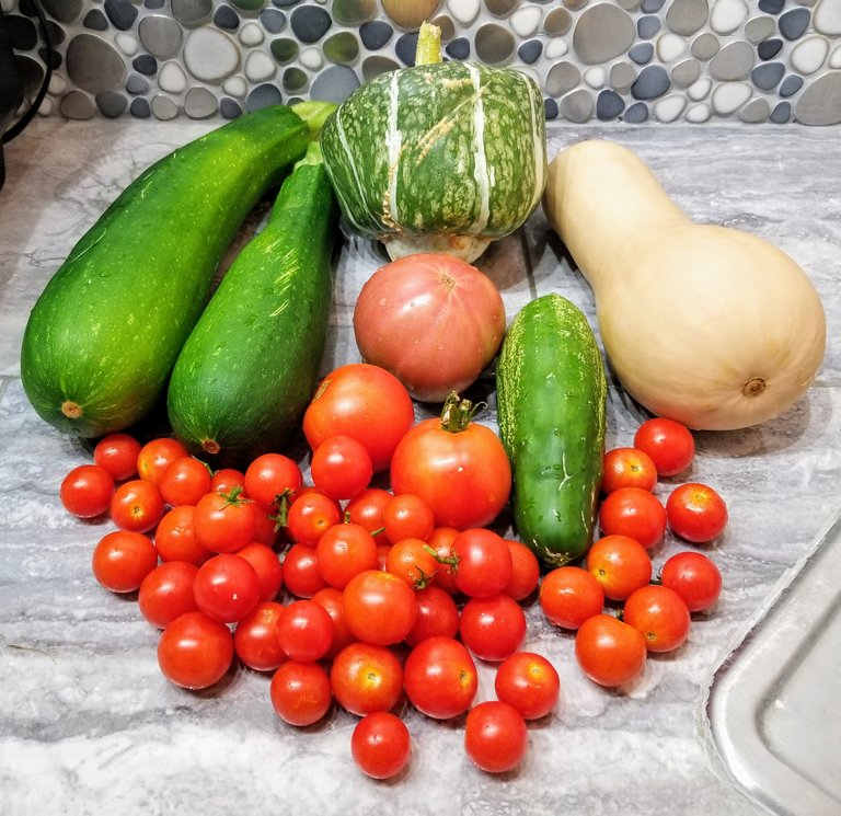 20190806_193743.jpg
