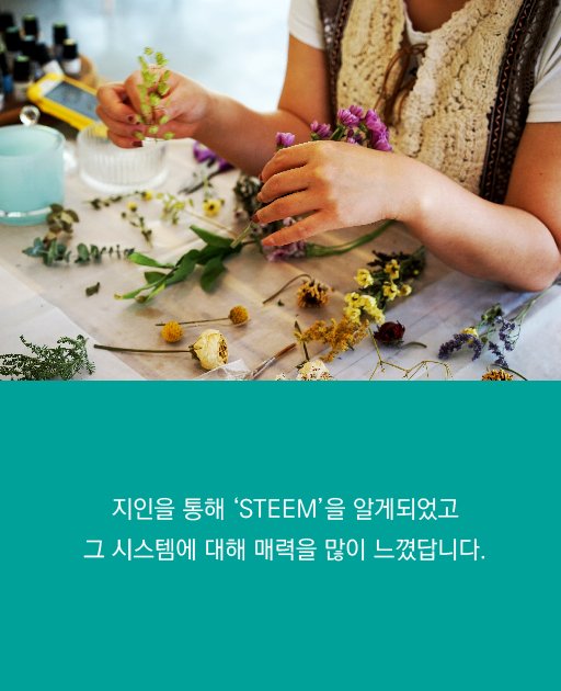 steem-03.jpg