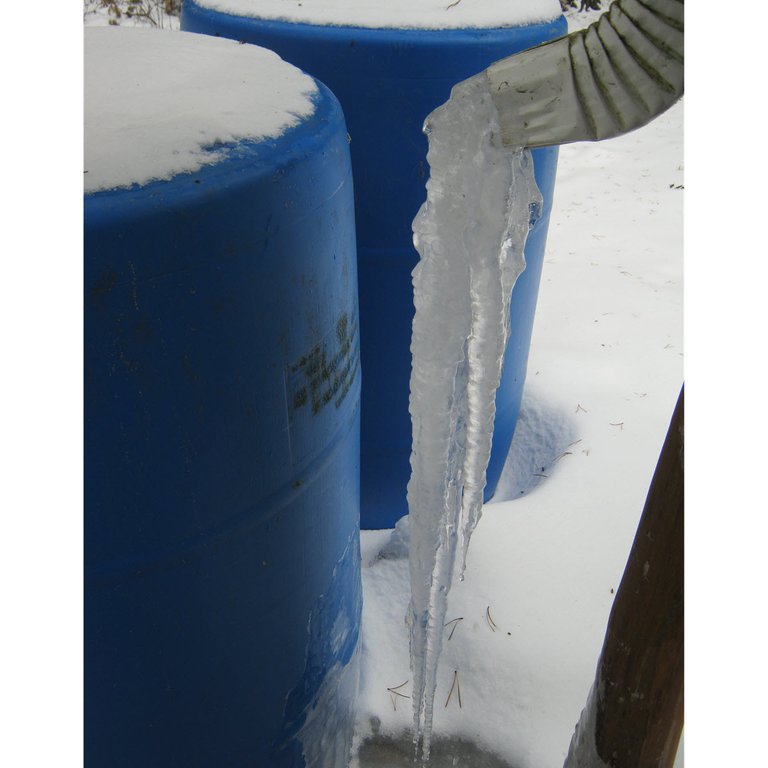 big icicle by rain barrel.JPG