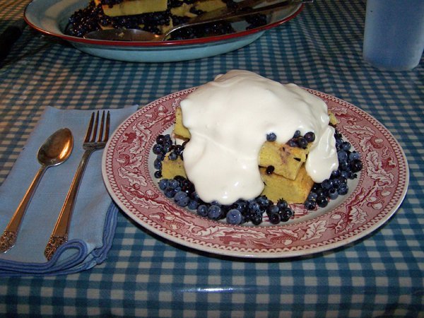 Blueberry shortcake - supper2 crop July 2018.jpg