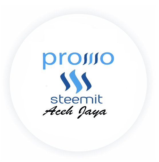 logo promo steemit.jpg