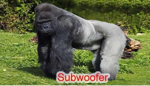 subwoofer.jpg