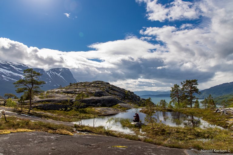 Olbogfjellet-6.jpg