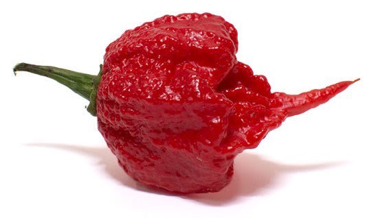 Carolina-Reaper-Pepper.jpg