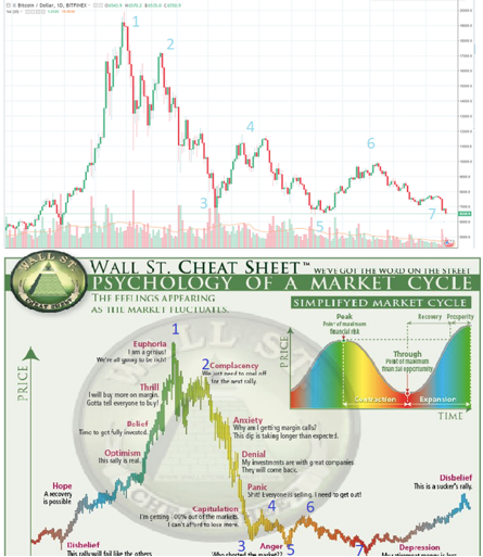 Market cycle.png