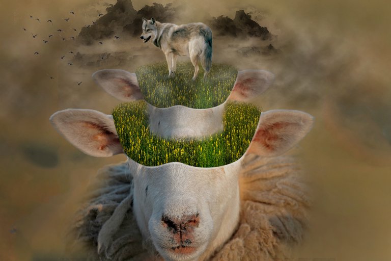 Sheep-nigtmare.jpg