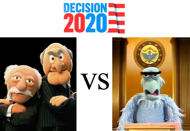 2020 Muppet Elections.jpg