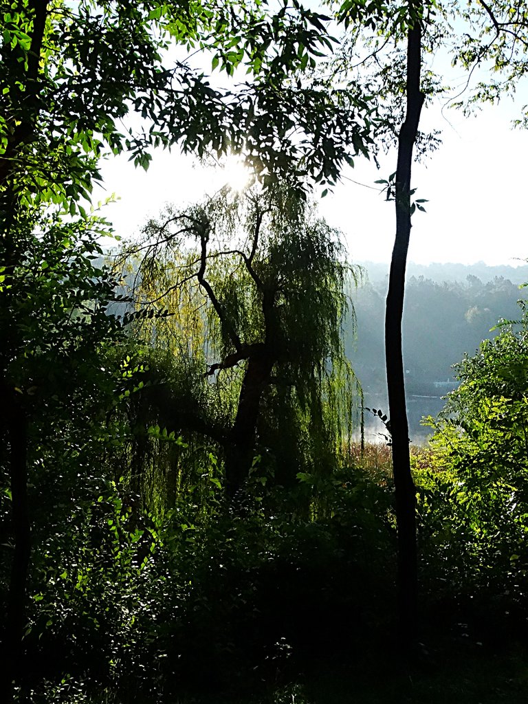 DSC01281.JPG