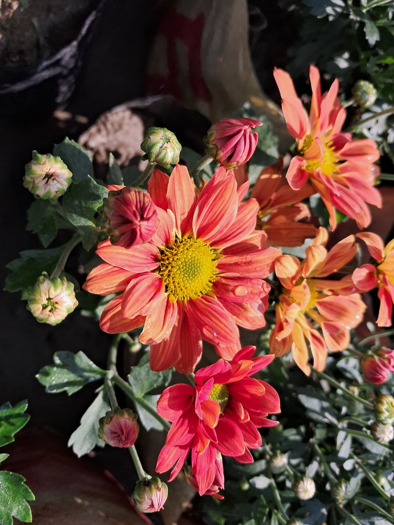 20231220_104716.jpg