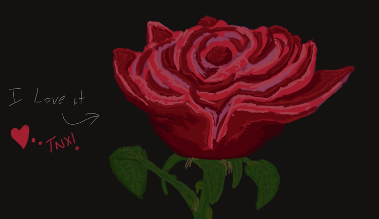 Red Rose by Odrau Steemit