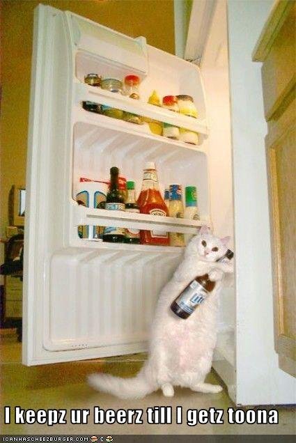 funny-pictures-cat-holds-your-beer-hostage.jpg