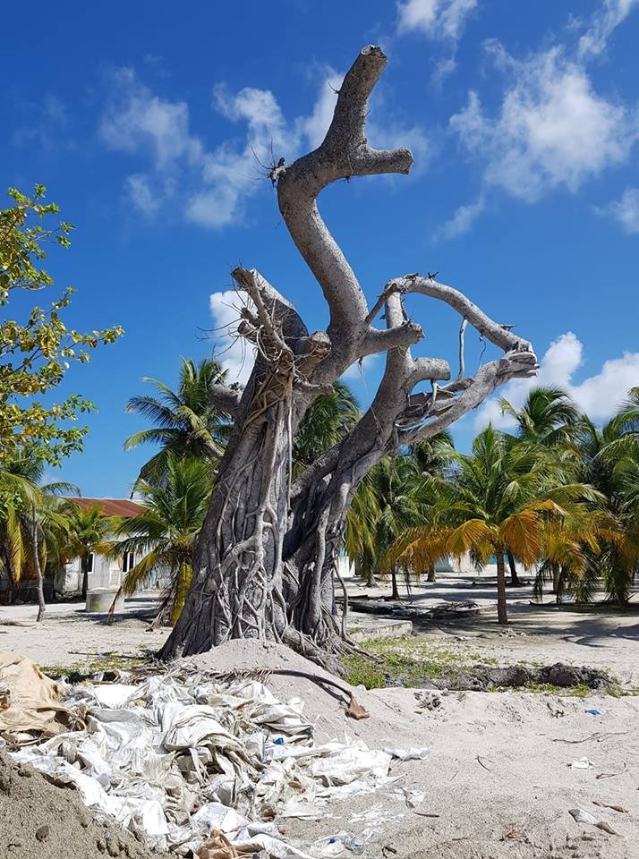 Hdh.Hanimaadhoo.jpg