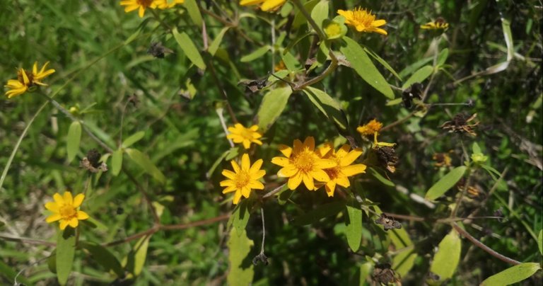 20201003_193233.jpg