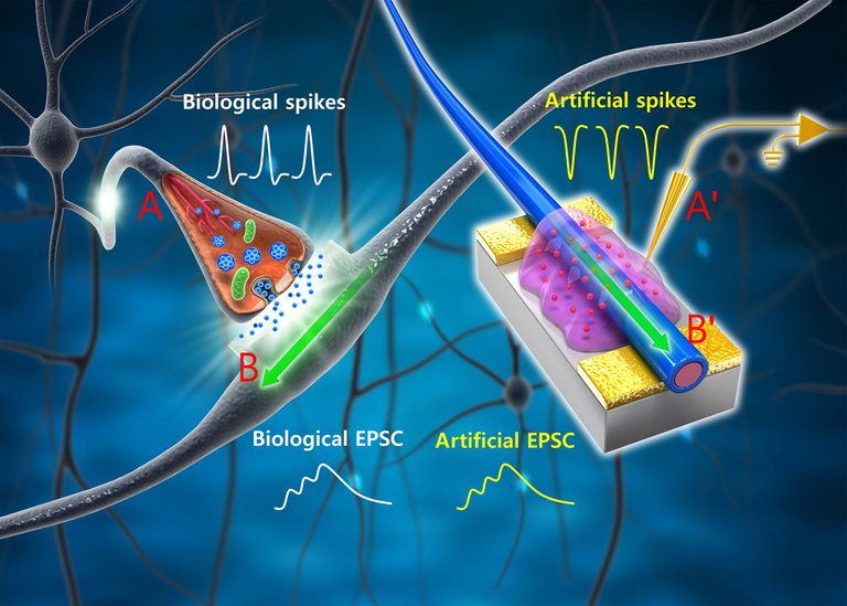 neuronal-network-ONW-ST.jpg