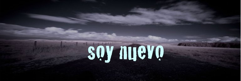 Soy-Nuevo-Banner.jpg