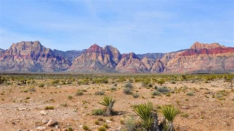 Red Rocks Park, NV.jpg