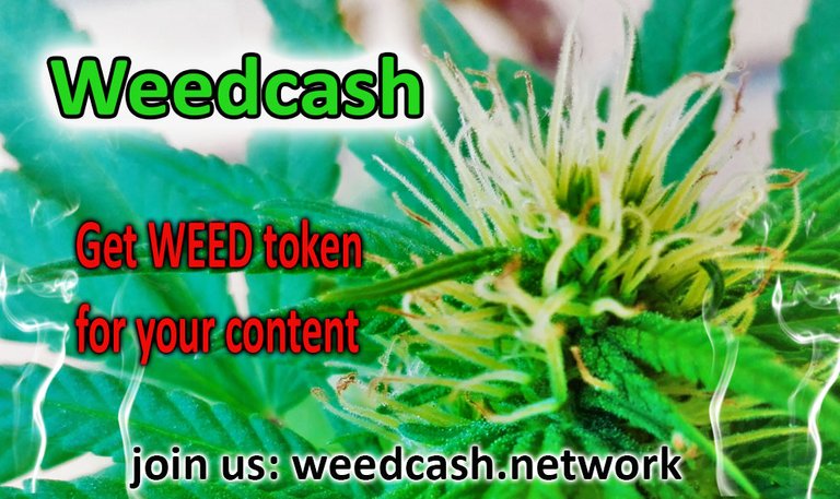 weedcash first2dwsdwdwe.jpg