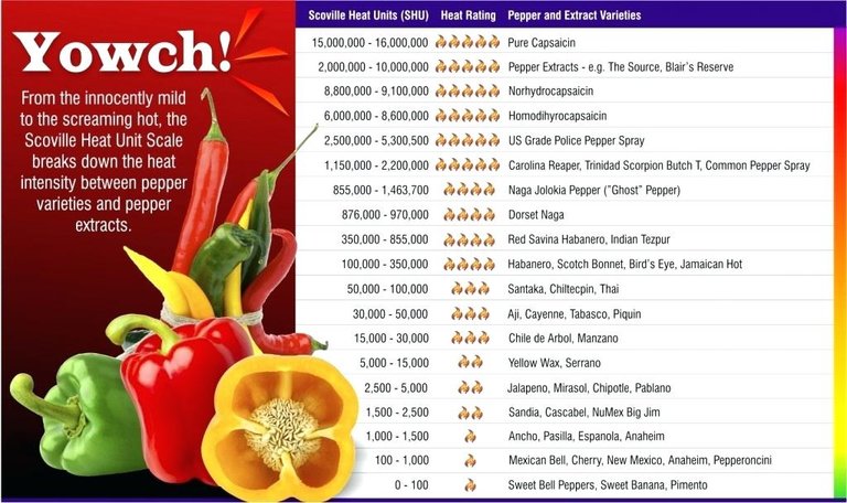 hot-pepper-scoville-scale-chart-peppers.jpg