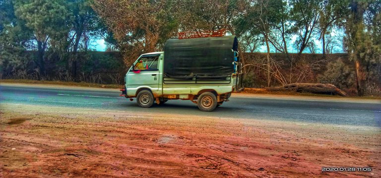IMG_20200128_110521-01.jpeg