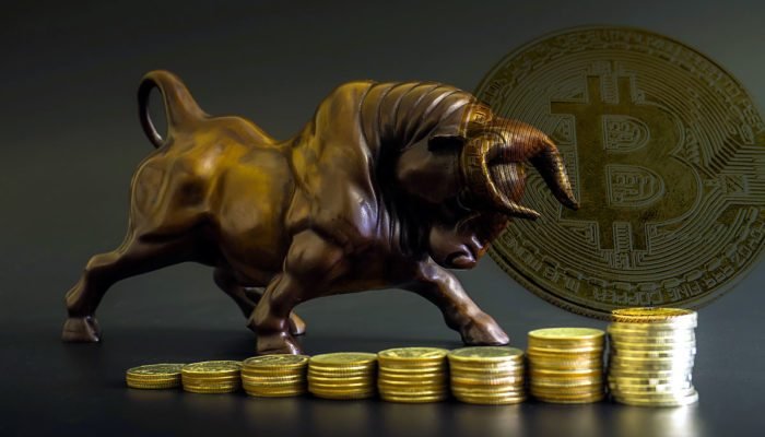 bitcoinbulls-700x400.jpg