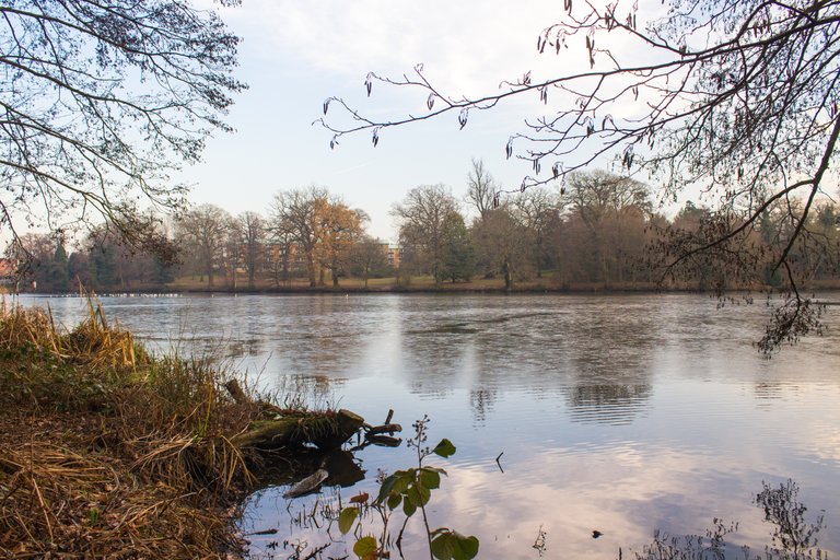 IUniversity of Reading Campus