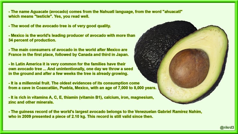 info avocado.jpg