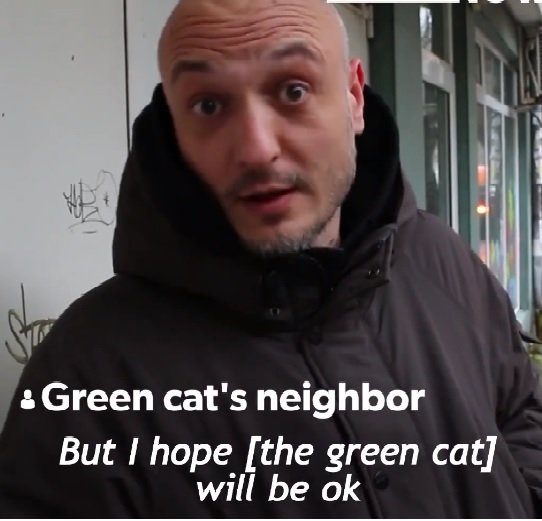 green cat5.jpg