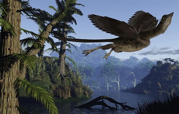 Archaeopteryx_12.jpg