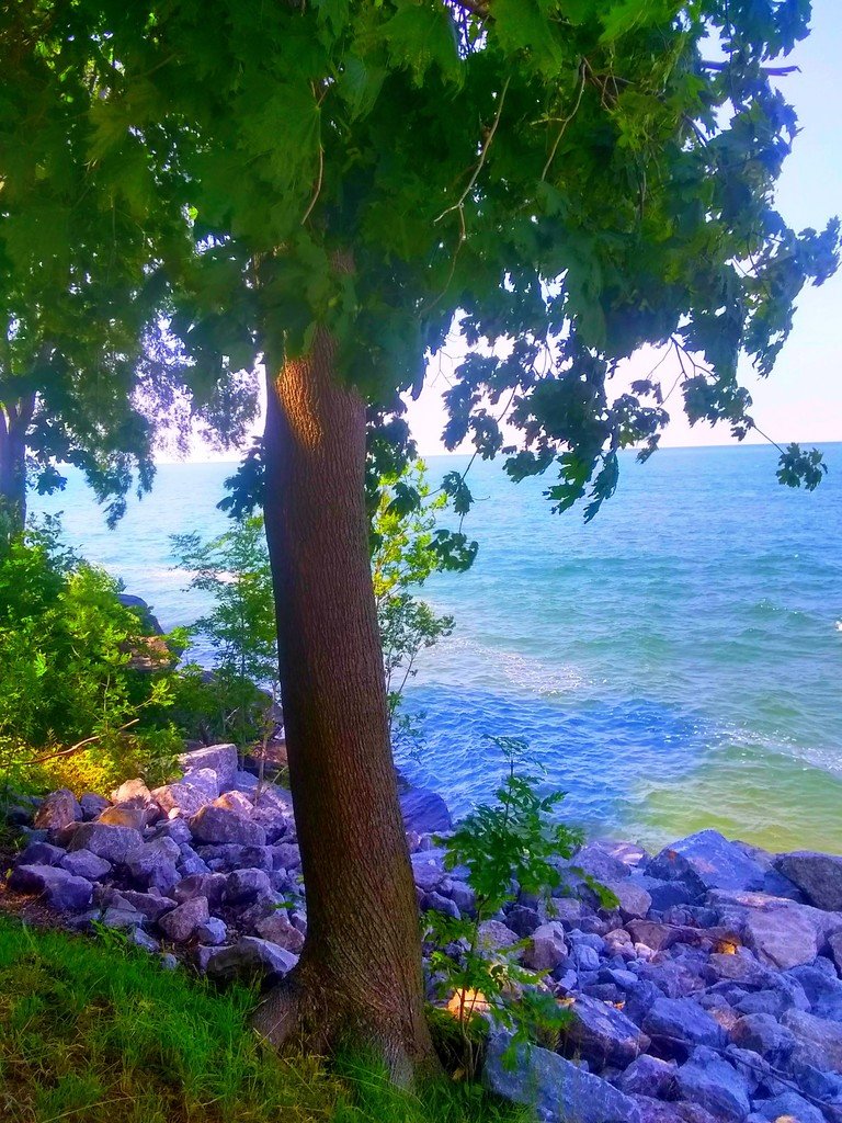 niagaraonthelake.jpg