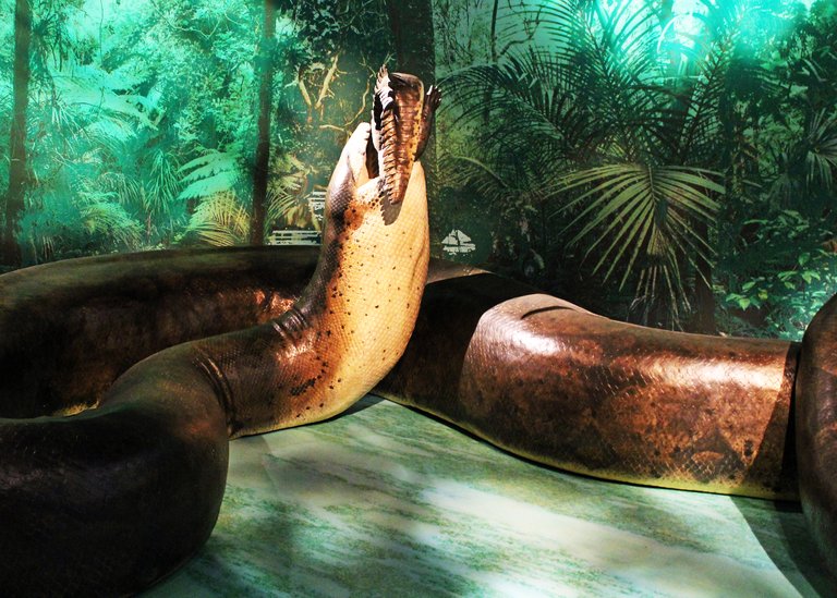 Titanoboa_1_(7684792594).jpg