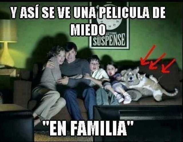 asi-se-ve-una-pelicula-de-halloween-en-familia-hf2tF.jpg