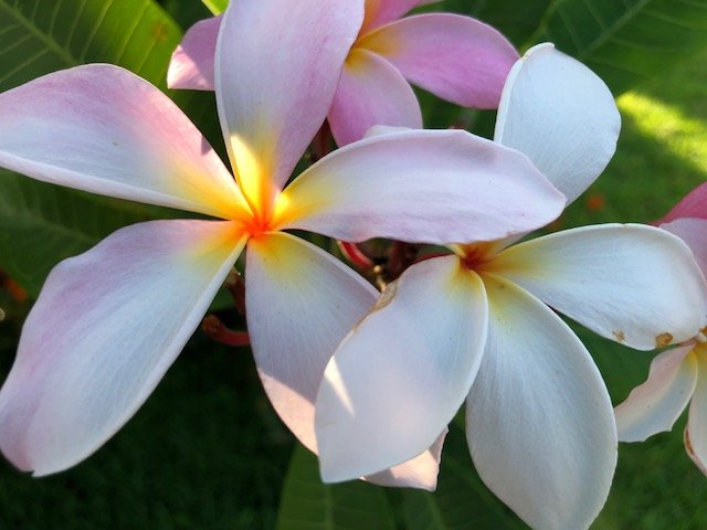 image2.jpeg