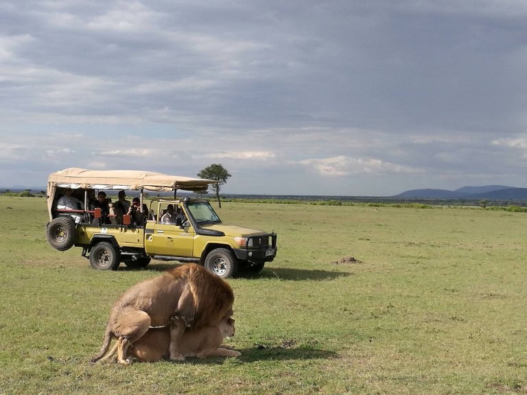 Maasai National Reserve16.jpg